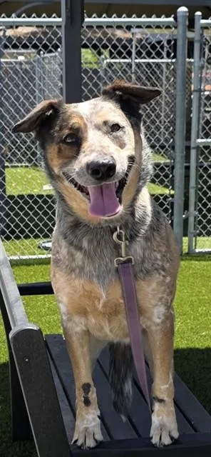 Xena