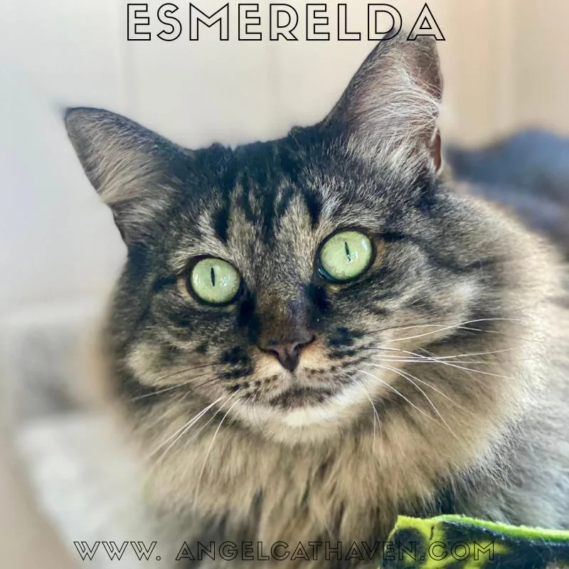 Esmerelda thumbnail 2
