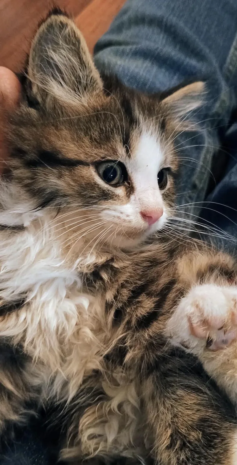 Eloise thumbnail 3