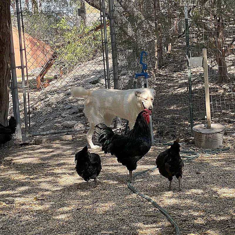 Jill E. Bear thumbnail 2