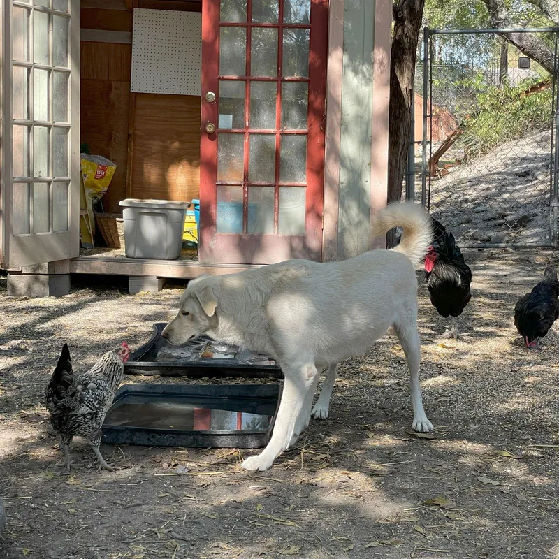 Jill E. Bear thumbnail 3