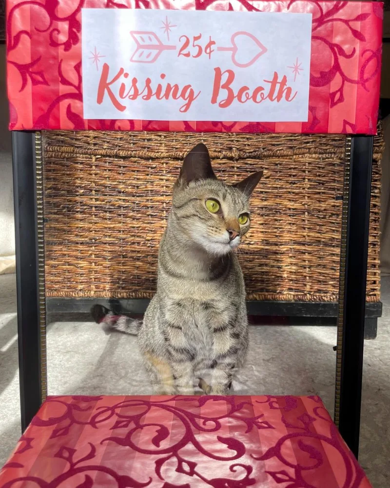 Gabriela thumbnail 2