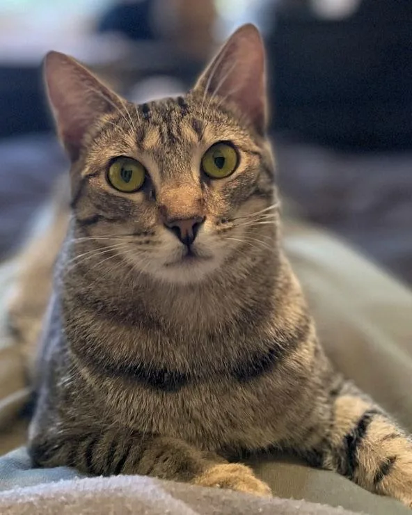 Gabriela thumbnail 3