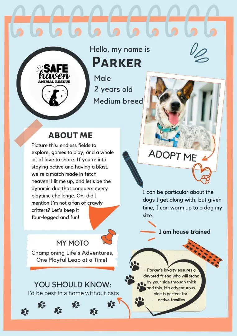 Perky Parker thumbnail 2