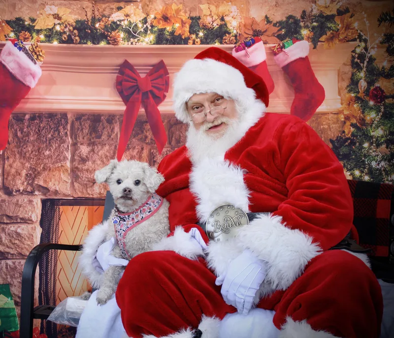 Lovely Lil Lucinda ~ thumbnail 4