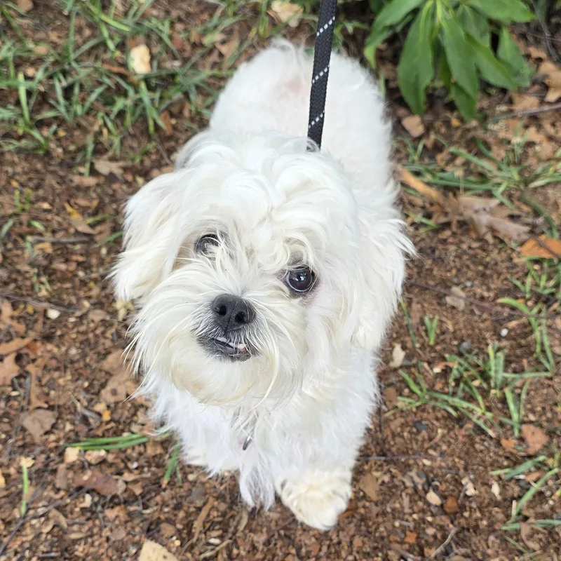 Sammy