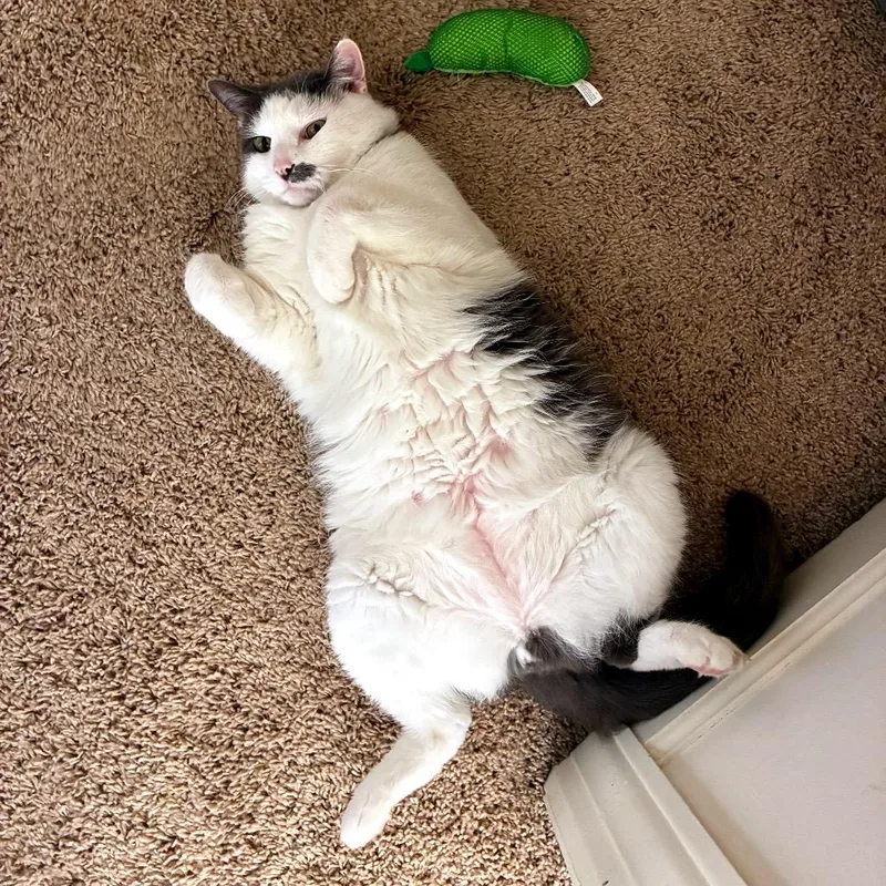 Eleanor