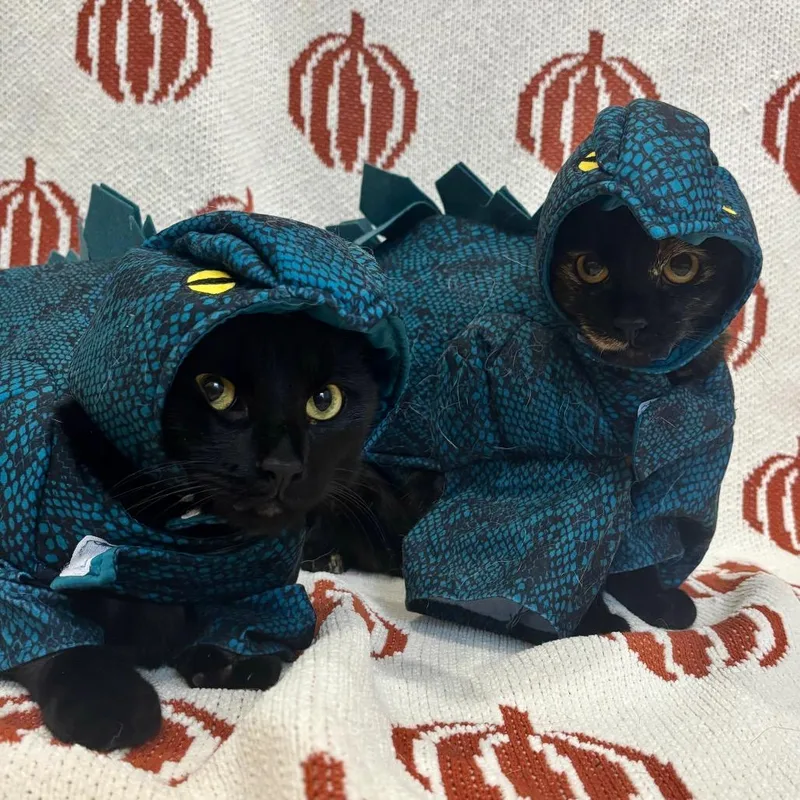 Scribbles thumbnail 3