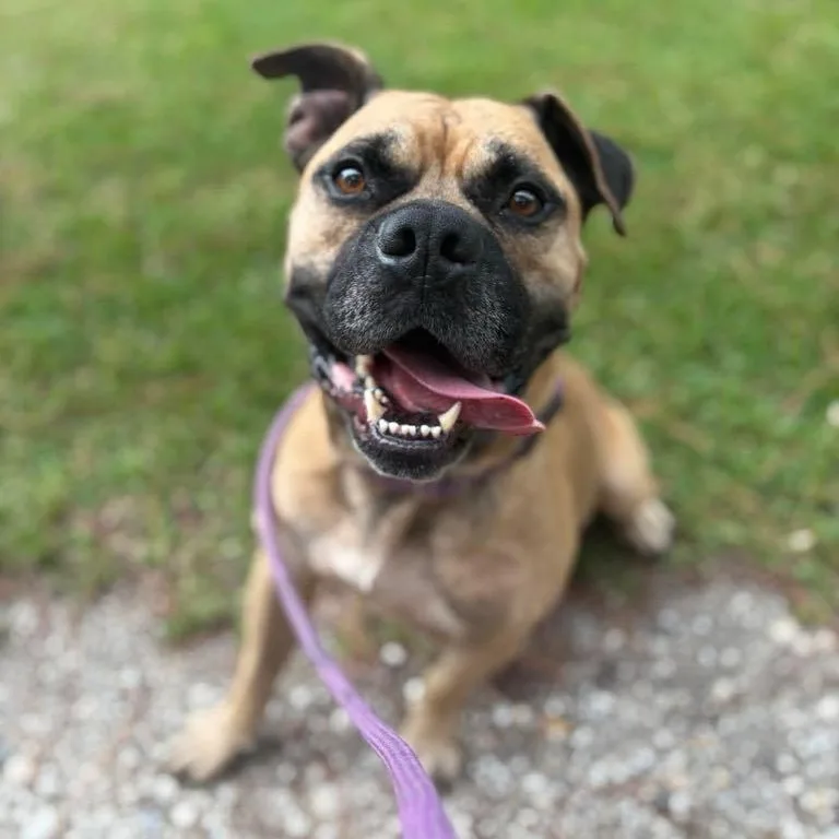 Hurricane thumbnail 2