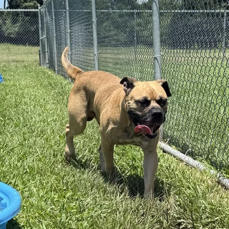 Hurricane thumbnail 3