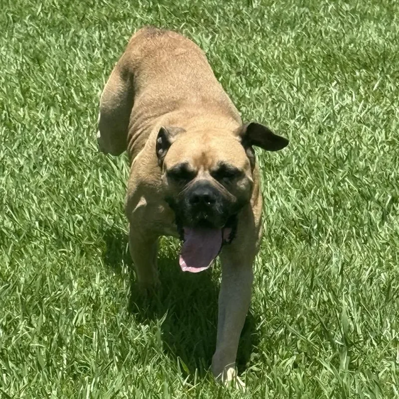 Hurricane thumbnail 4