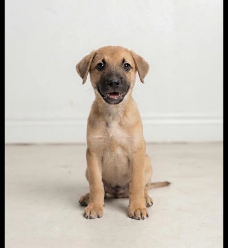 Ernie thumbnail 5