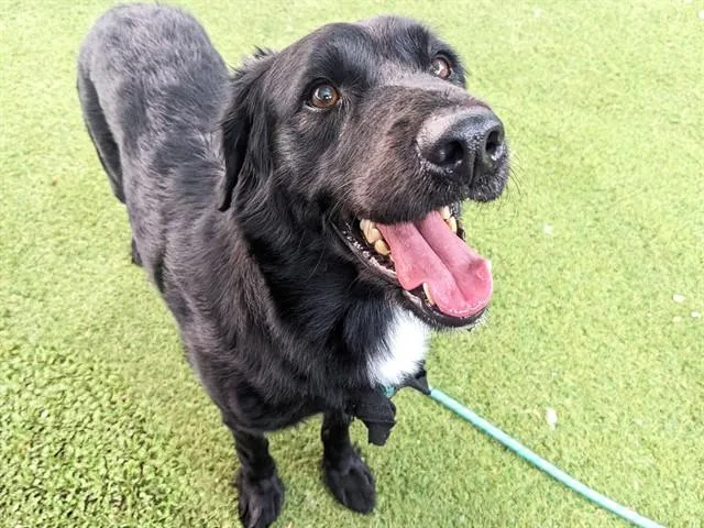 Walter