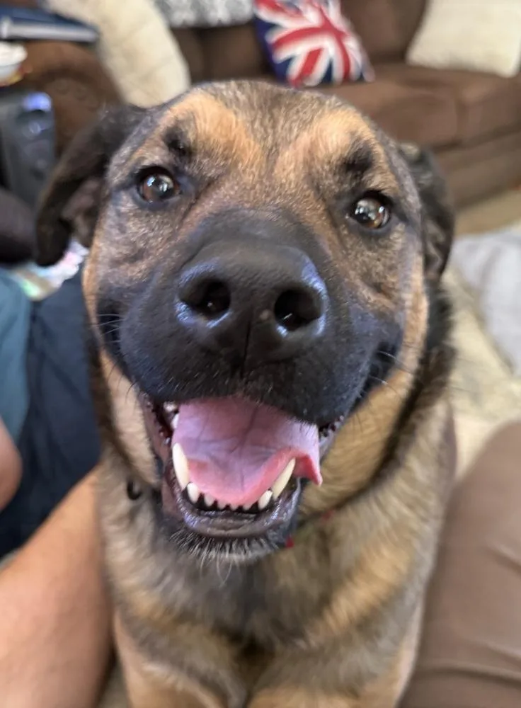 Kira