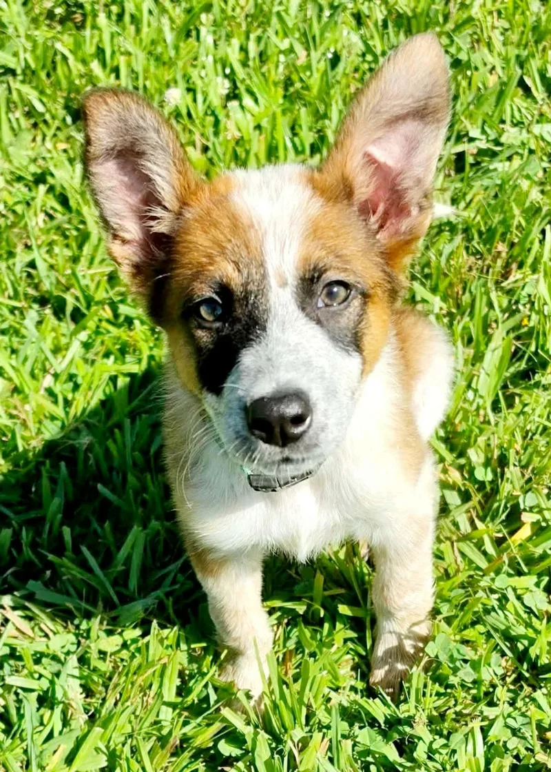 Teagan thumbnail 5
