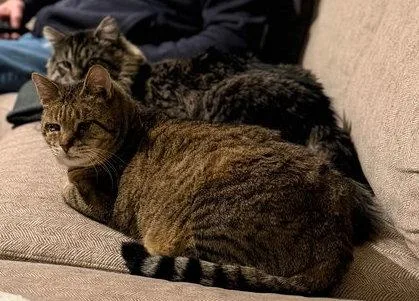 Sunny& Crumble: Bonded thumbnail 3