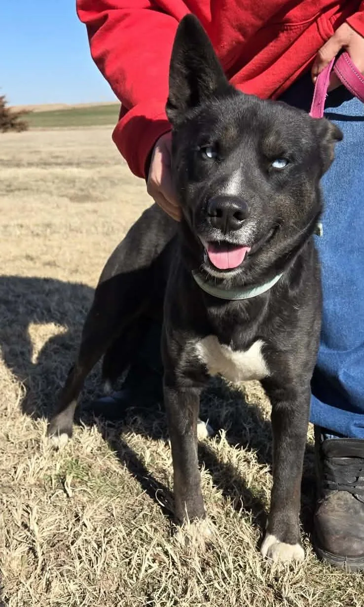 Midnight thumbnail 2