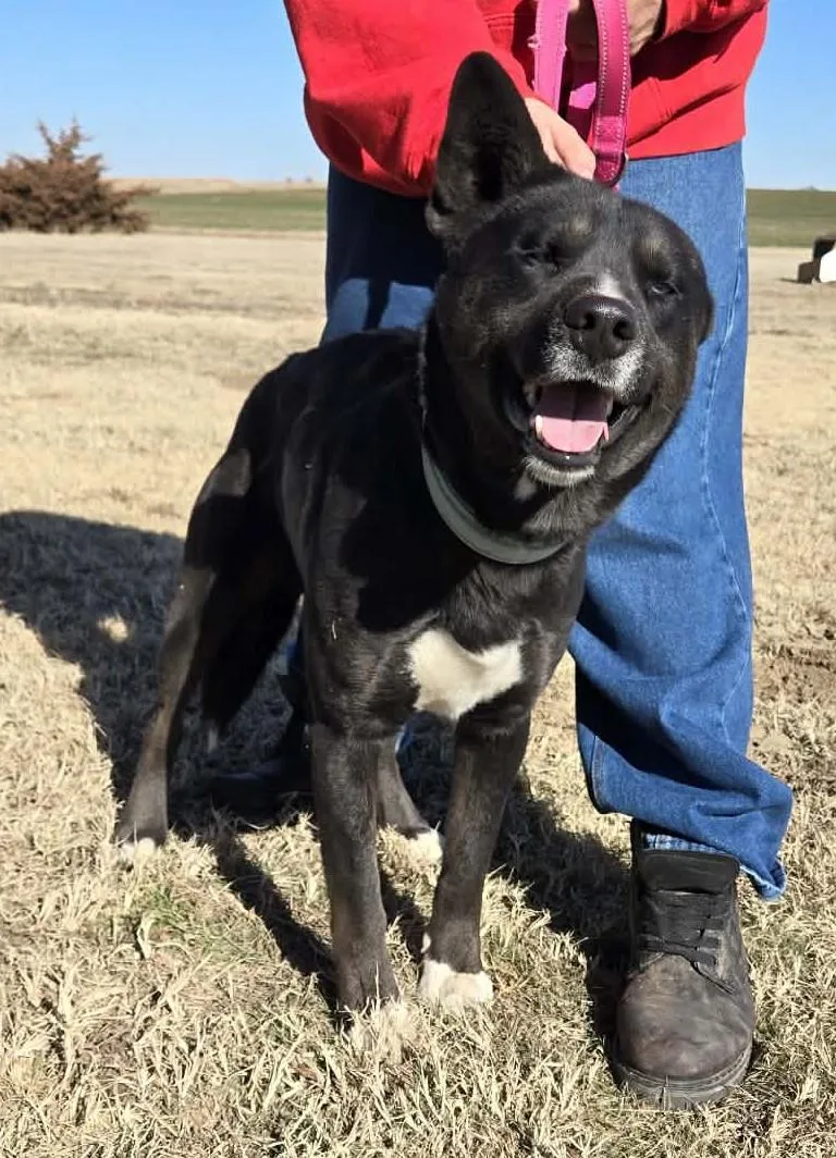 Midnight thumbnail 3