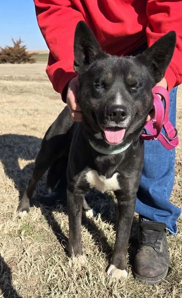 Midnight thumbnail 4