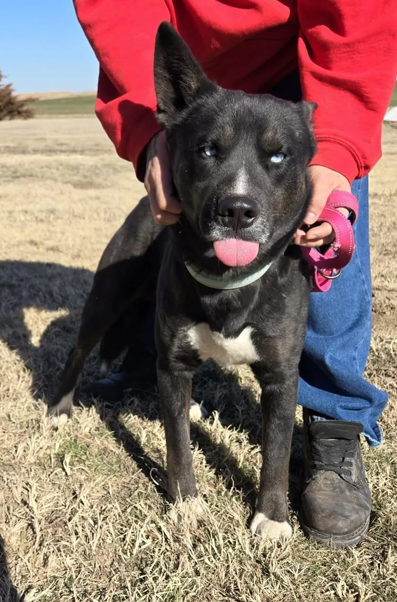 Midnight thumbnail 5