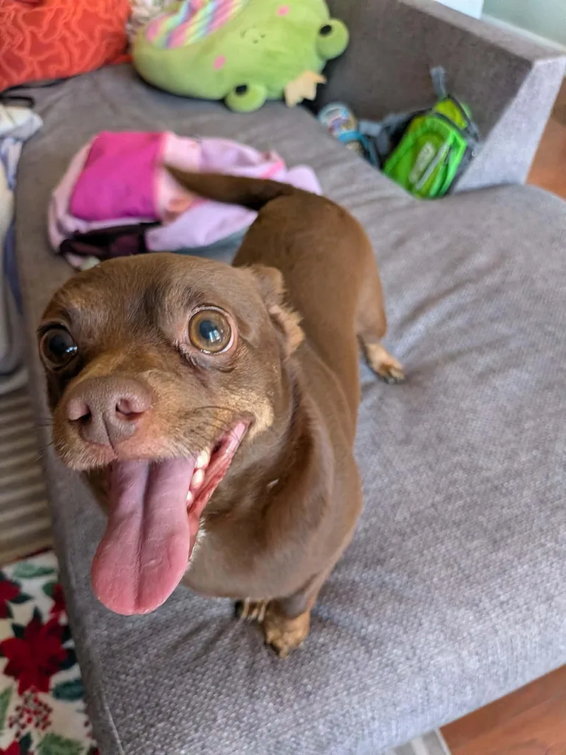 Chico
