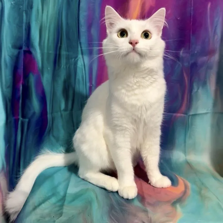 Taylor Swift thumbnail 2