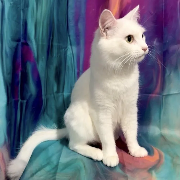 Taylor Swift thumbnail 3