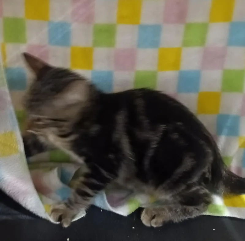 Cutie thumbnail 6