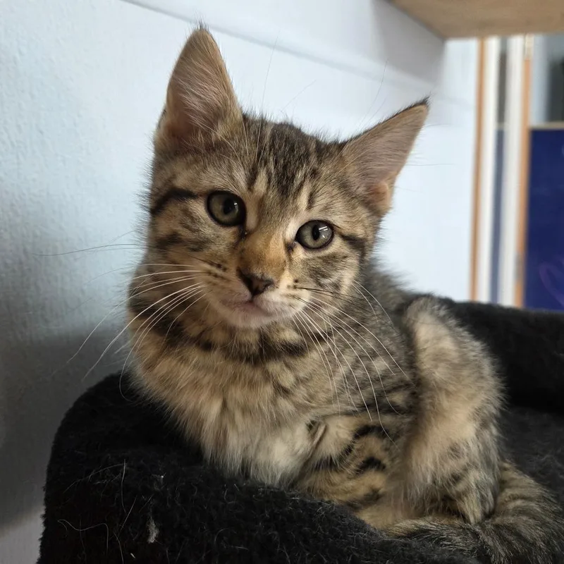 Jay Quellin thumbnail 2