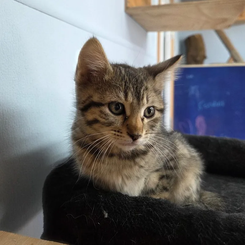 Jay Quellin thumbnail 3