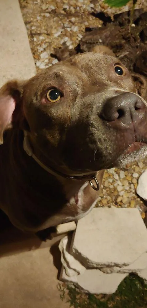 Lucky Bruce Franklin thumbnail 2