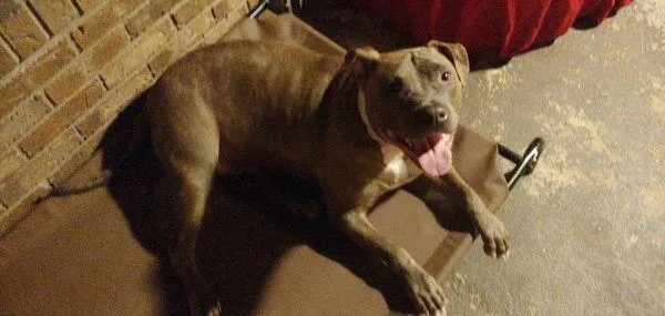 Lucky Bruce Franklin thumbnail 4