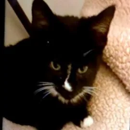 Fruity Pebbles  Freja thumbnail 2