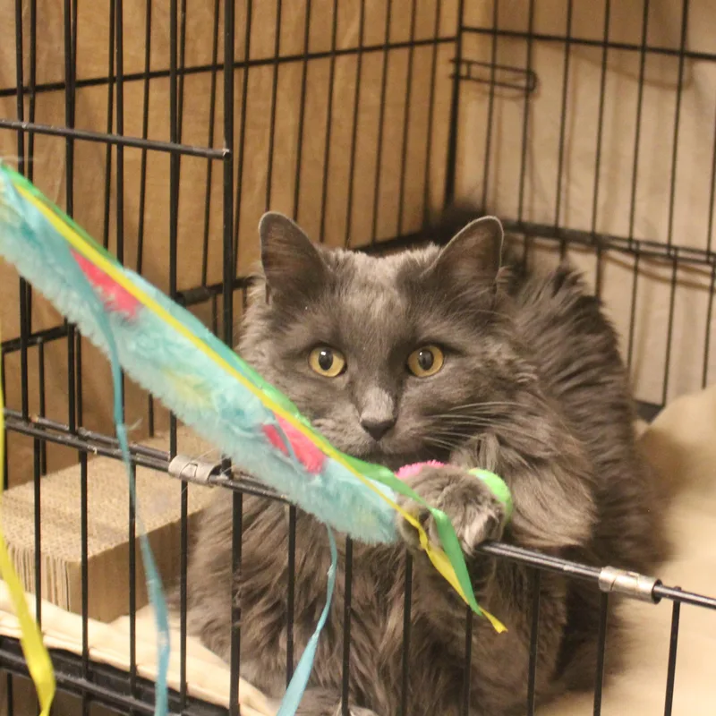 Missy thumbnail 5