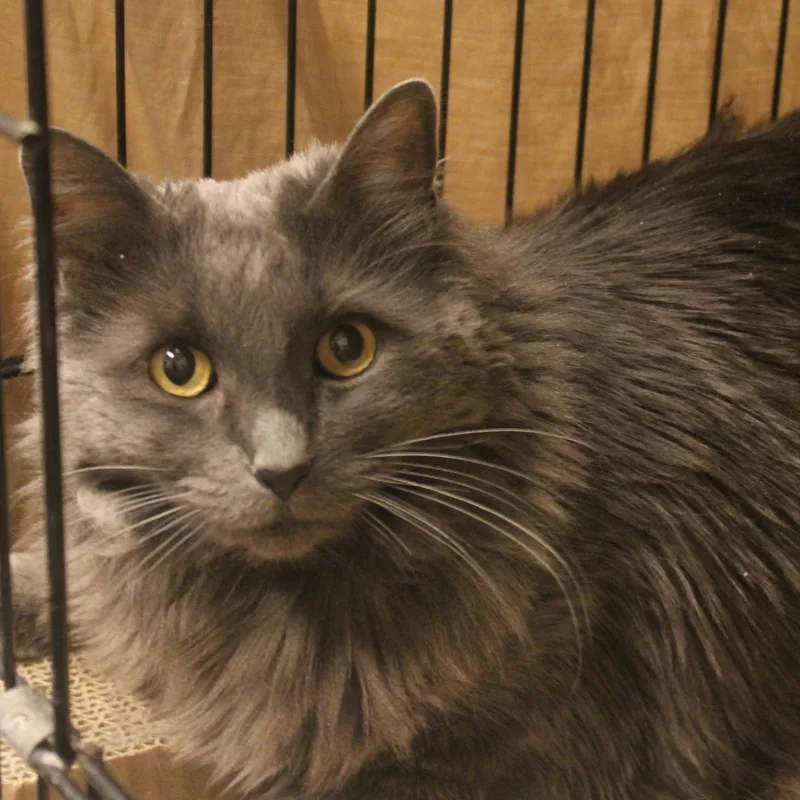 Missy thumbnail 6