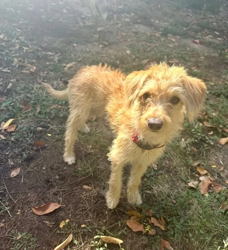 Tilly thumbnail 3