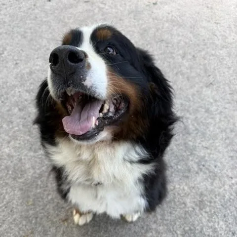 Fenway thumbnail 2