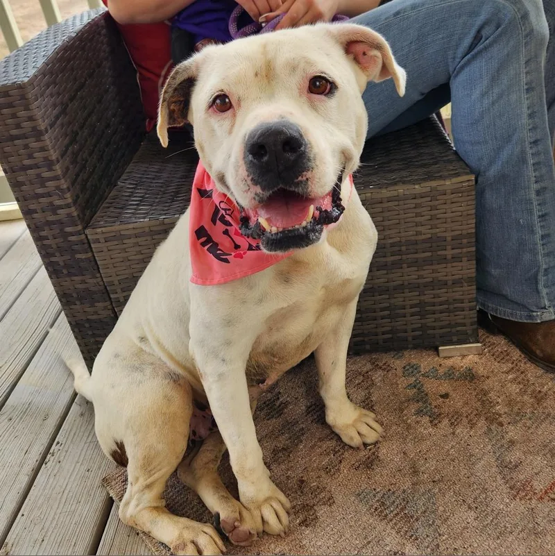 Dawn Jum thumbnail 3