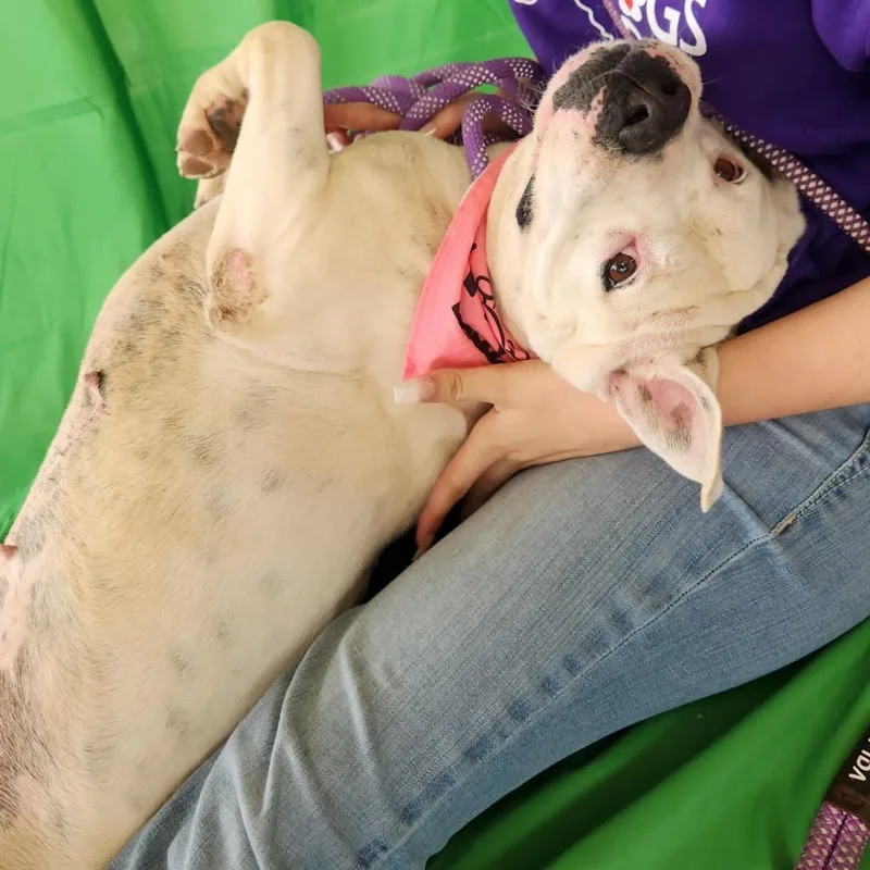 Dawn Jum thumbnail 4