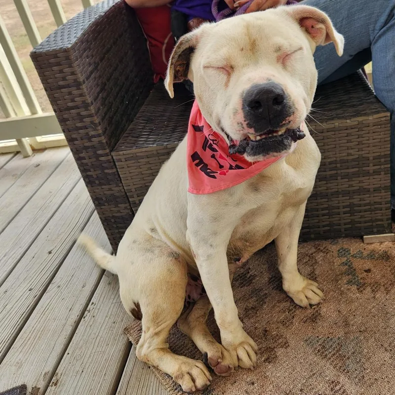 Dawn Jum thumbnail 6