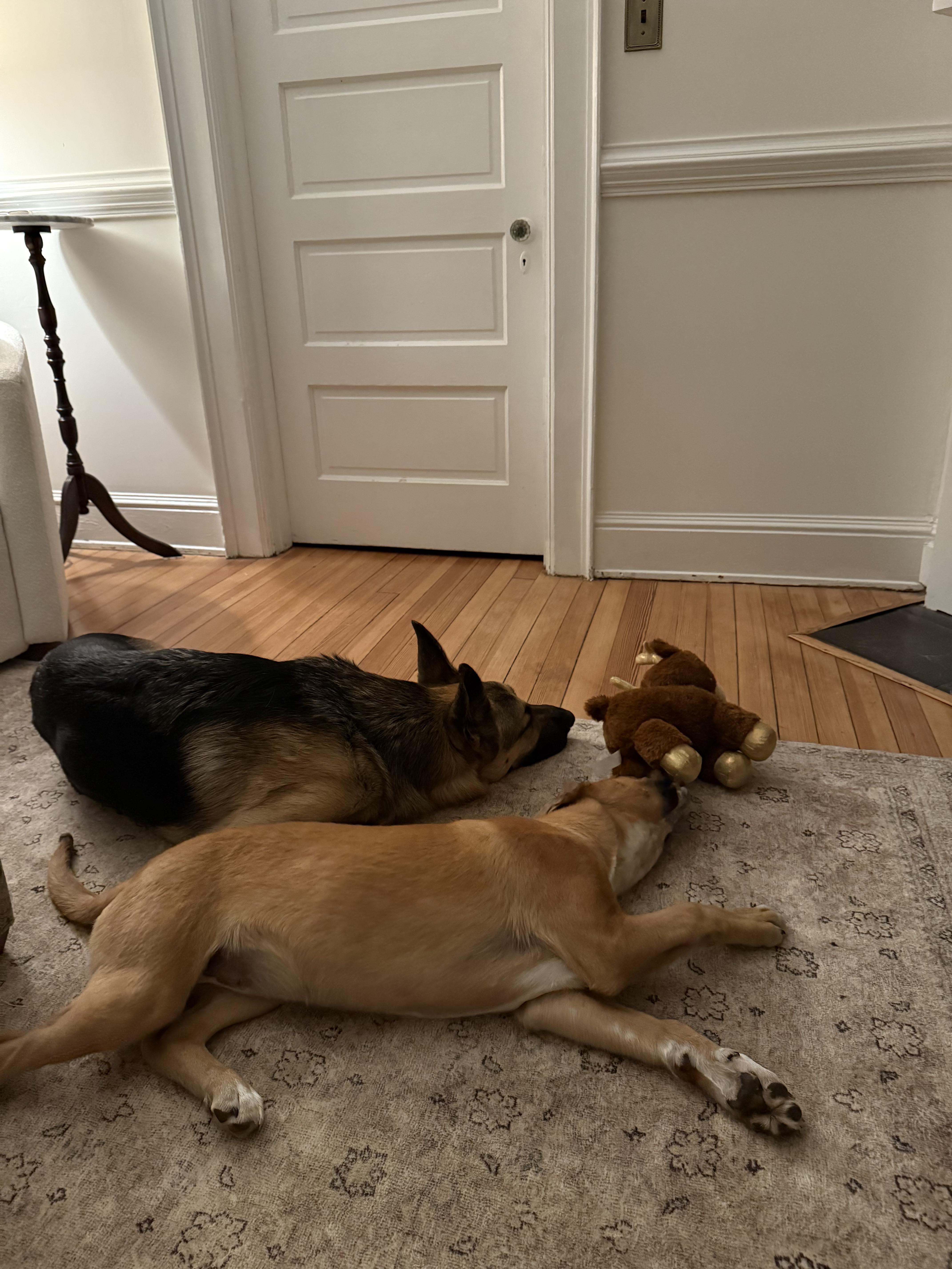 Lucy In The Sky thumbnail 2