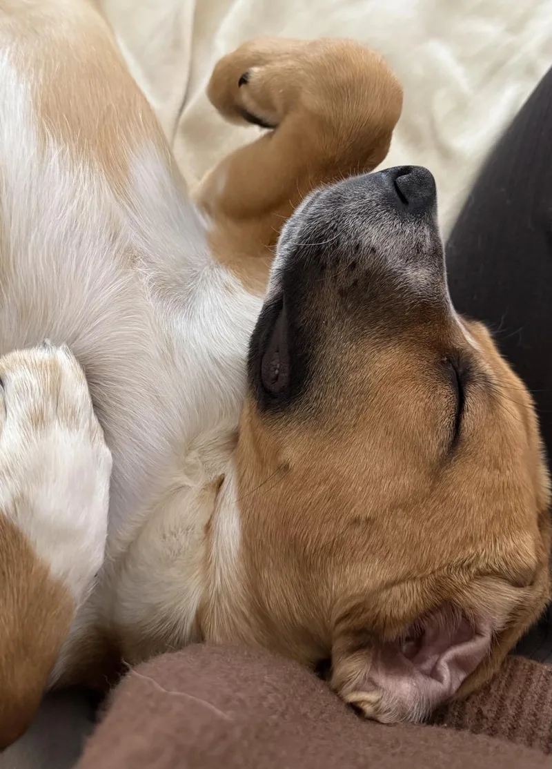 Lucy In The Sky thumbnail 5