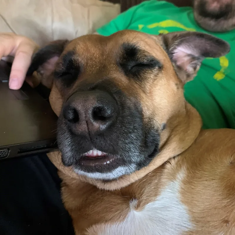 Sadie Courtesy Listing