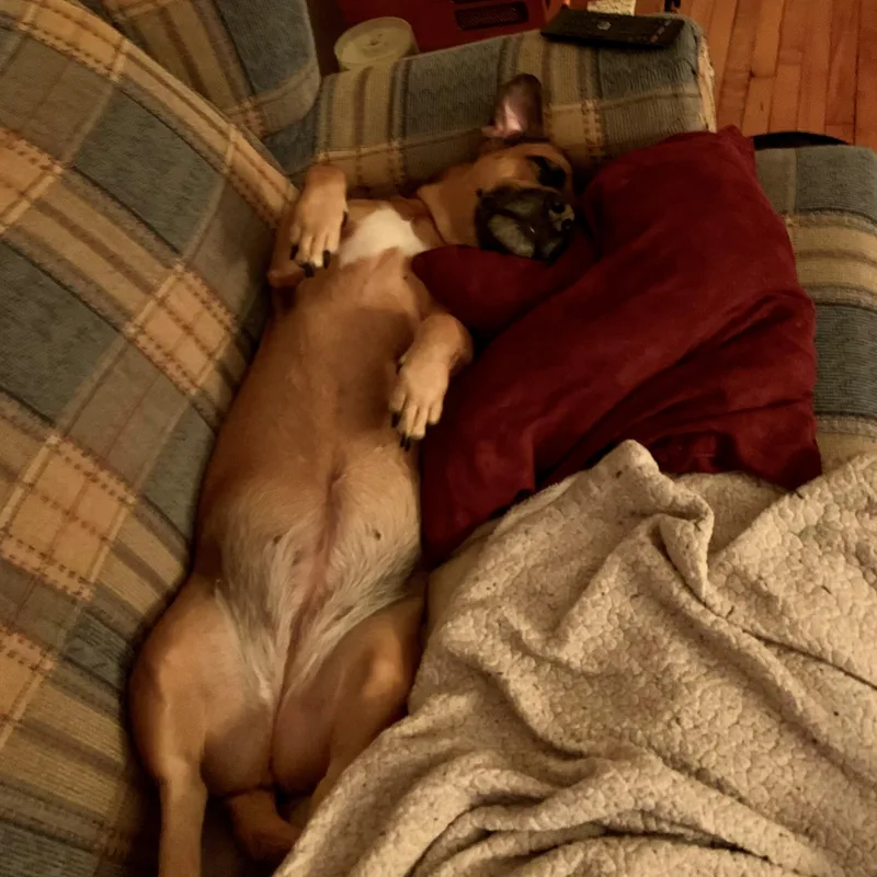 Sadie  Courtesy Listing thumbnail 2