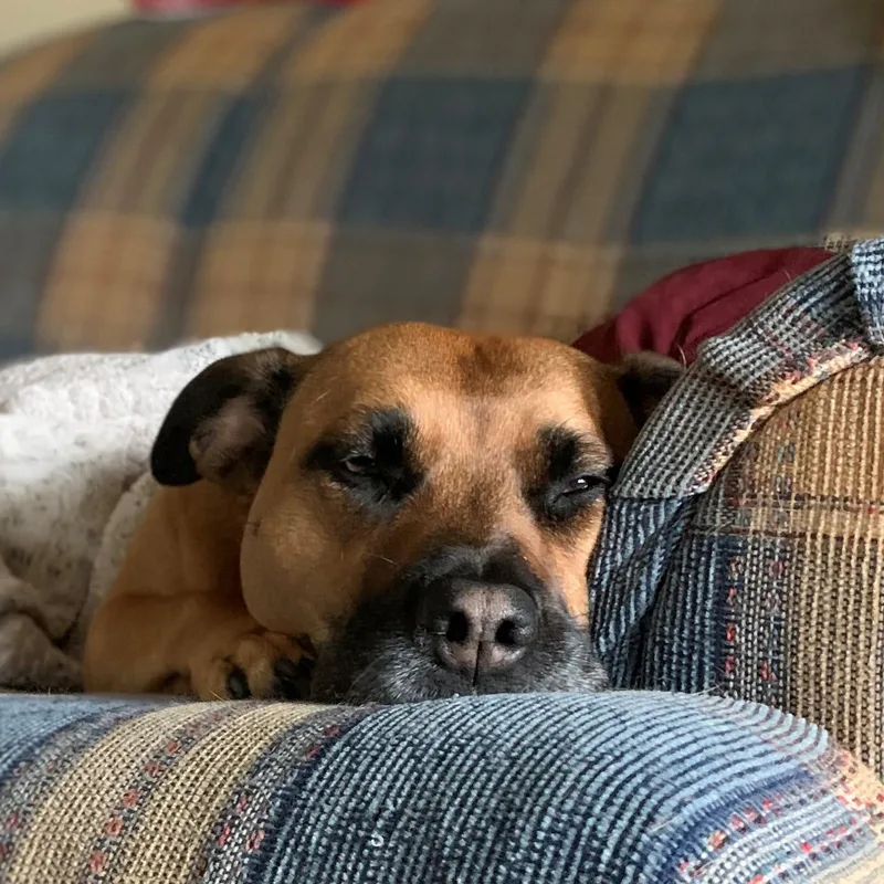 Sadie  Courtesy Listing thumbnail 3