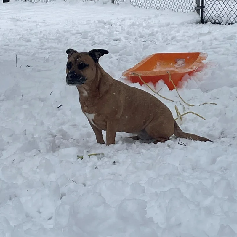 Sadie  Courtesy Listing thumbnail 4