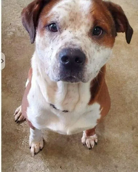 We'll Call Him Butterball! thumbnail 2