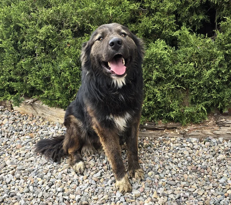 Magnificent Mr Maki ~ thumbnail 2