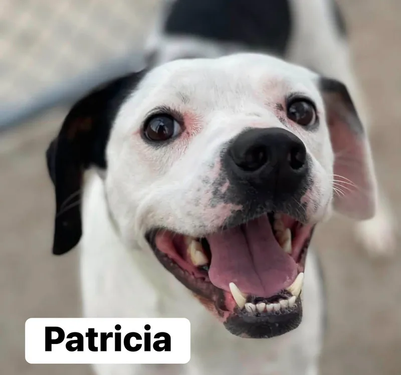 Patricia