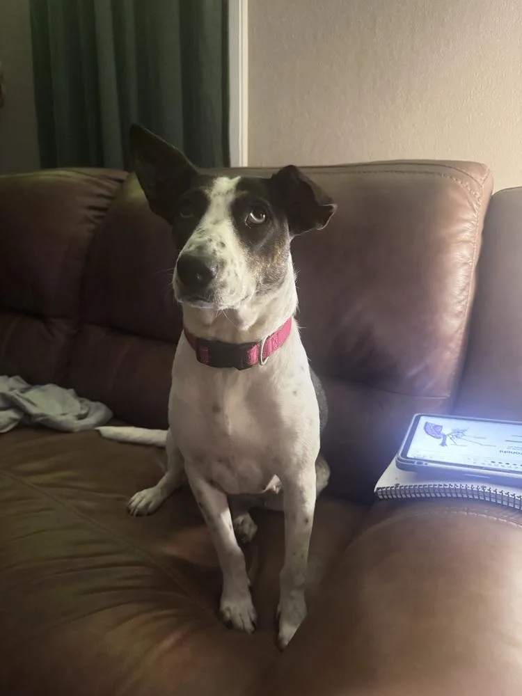 Rosie